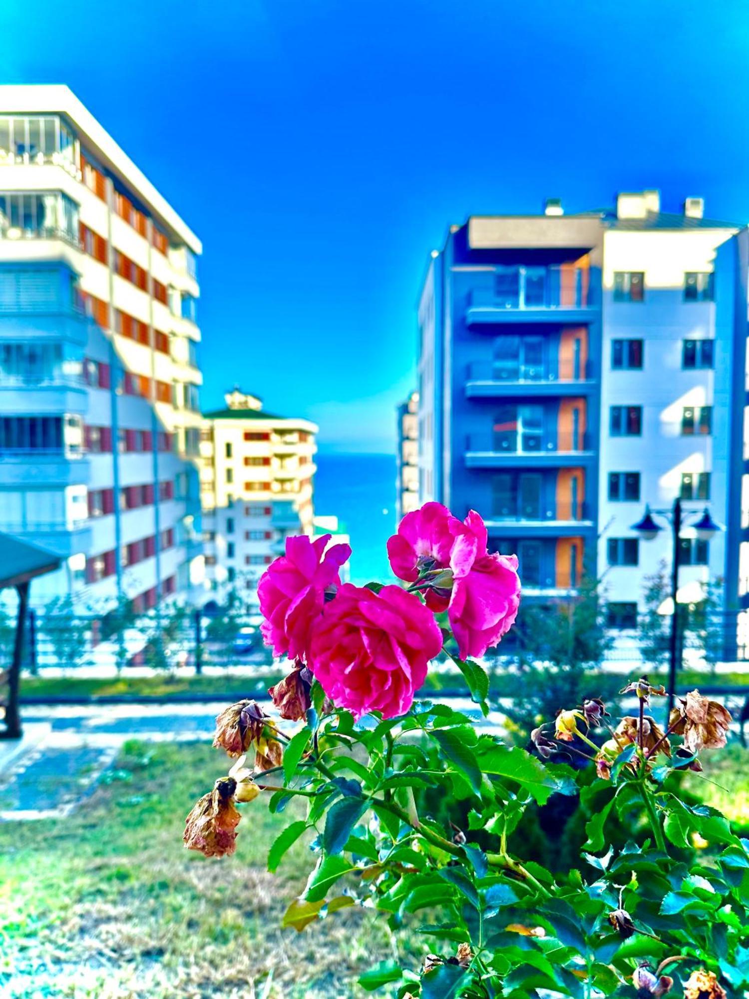 Bazalt Apart Hotel Trabzon Kültér fotó